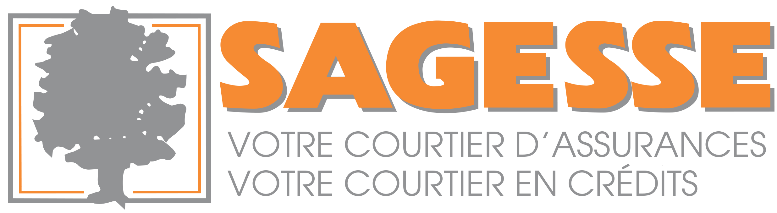 Logo sagesse credit et assurance hori